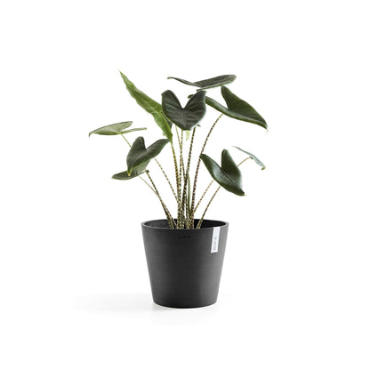 Kukkaruukku - Ecopots - Amsterdam 25cm tummanharmaa - Ecopotskauppa - Uuden aikakauden kukkaruukku