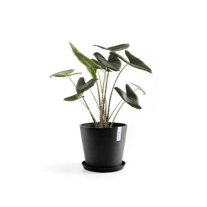 Kukkaruukku - Ecopots - Amsterdam 25cm tummanharmaa - Ecopotskauppa - Uuden aikakauden kukkaruukku