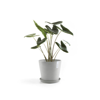 Kukkaruukku - Ecopots - Amsterdam 25cm valkoharmaa - Ecopotskauppa - Uuden aikakauden kukkaruukku