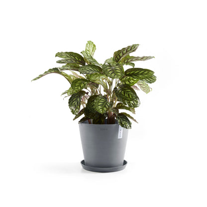 Kukkaruukku - Ecopots - Amsterdam 30cm siniharmaa - Ecopotskauppa - Uuden aikakauden kukkaruukku
