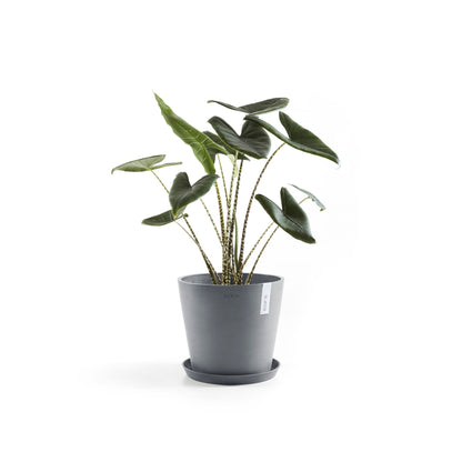 Kukkaruukku - Ecopots - Amsterdam 30cm siniharmaa - Ecopotskauppa - Uuden aikakauden kukkaruukku