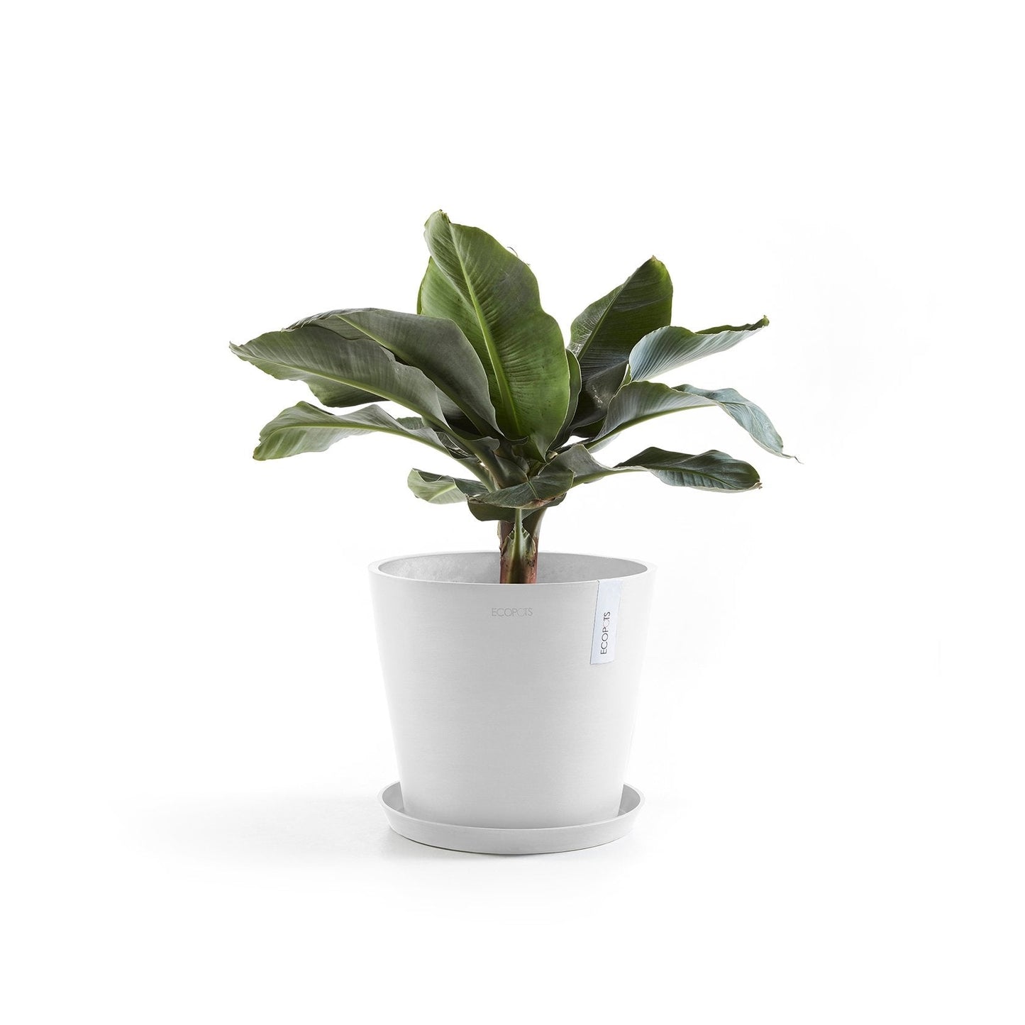 Kukkaruukku - Ecopots - Amsterdam 30cm valkoinen - Ecopotskauppa - Uuden aikakauden kukkaruukku