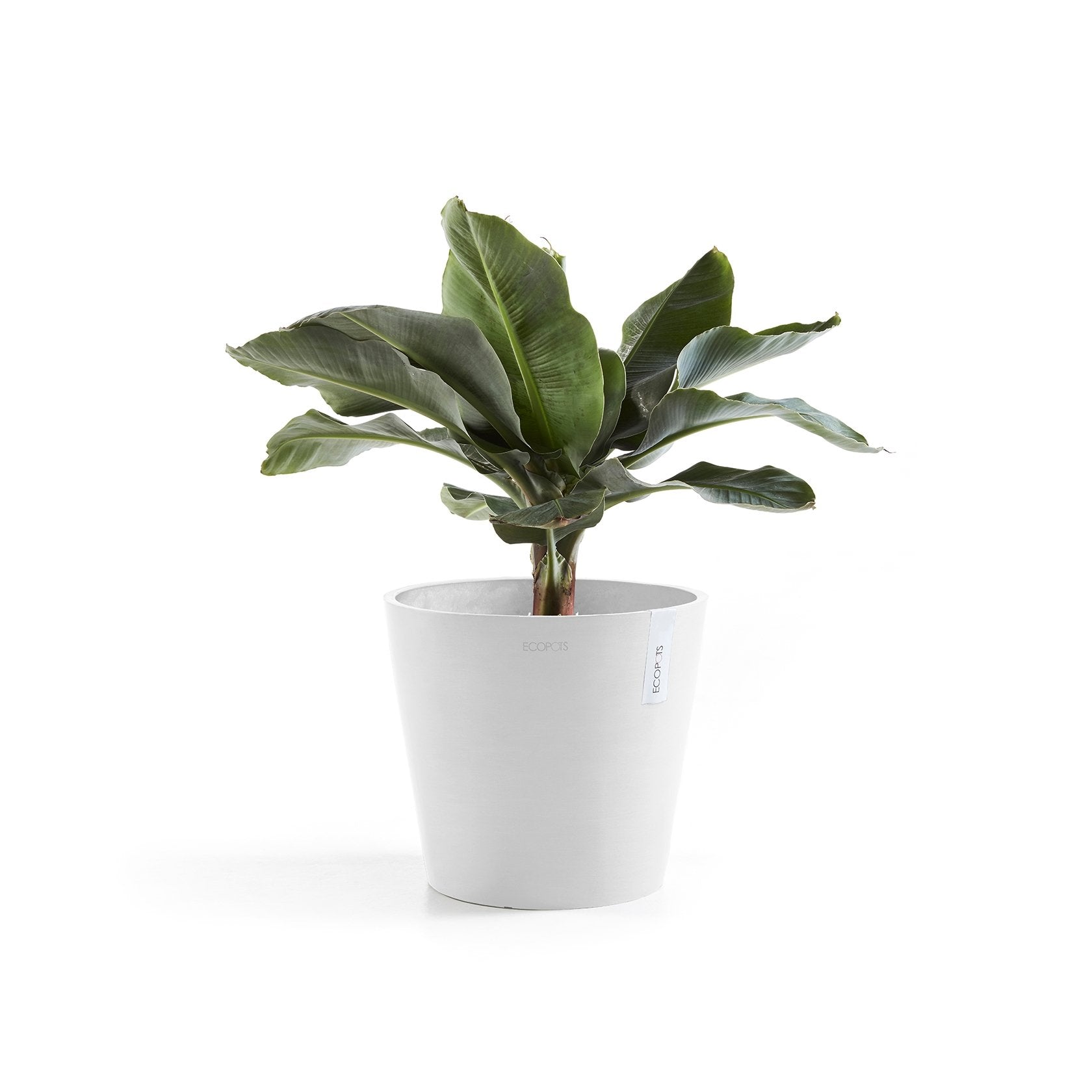 Kukkaruukku - Ecopots - Amsterdam 30cm valkoinen - Ecopotskauppa - Uuden aikakauden kukkaruukku