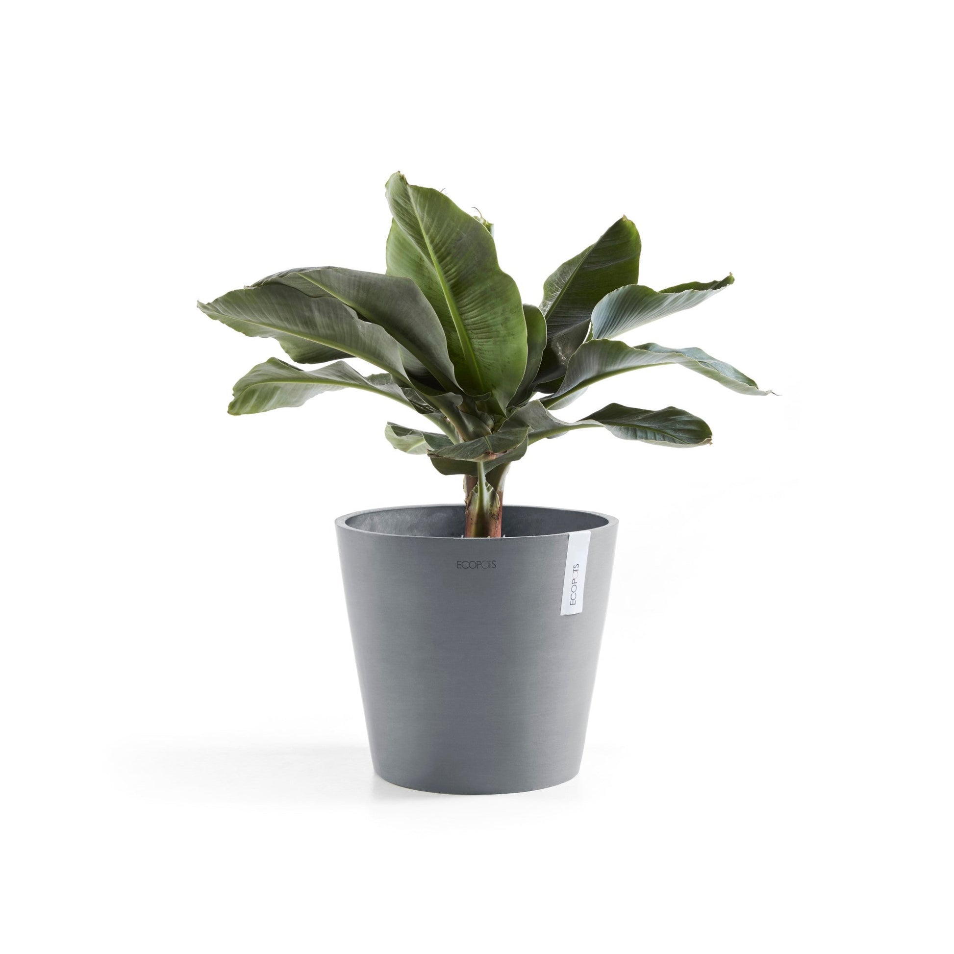 Kukkaruukku - Ecopots - Amsterdam 40cm siniharmaa - Ecopotskauppa - Uuden aikakauden kukkaruukku