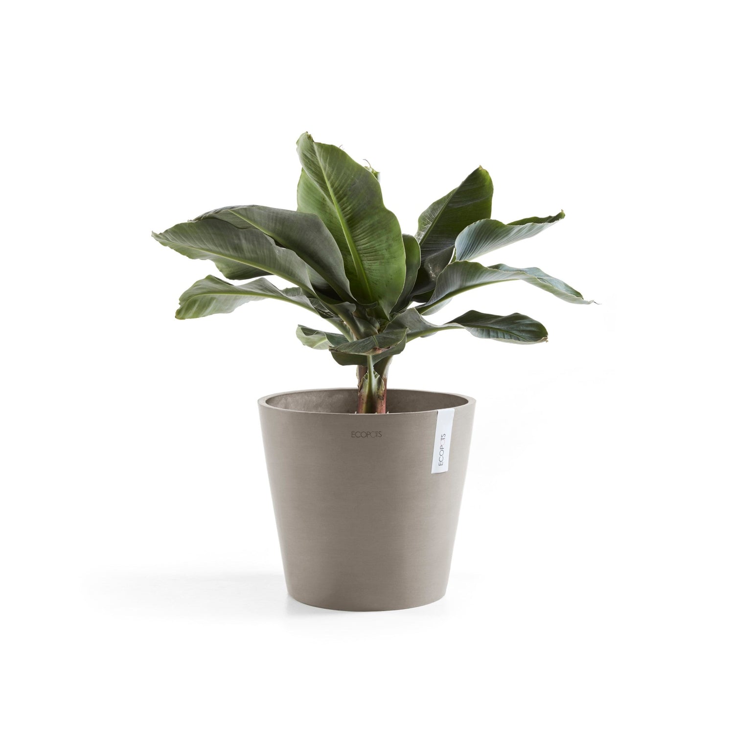 Kukkaruukku - Ecopots - Amsterdam 40cm taupe - Ecopotskauppa - Uuden aikakauden kukkaruukku