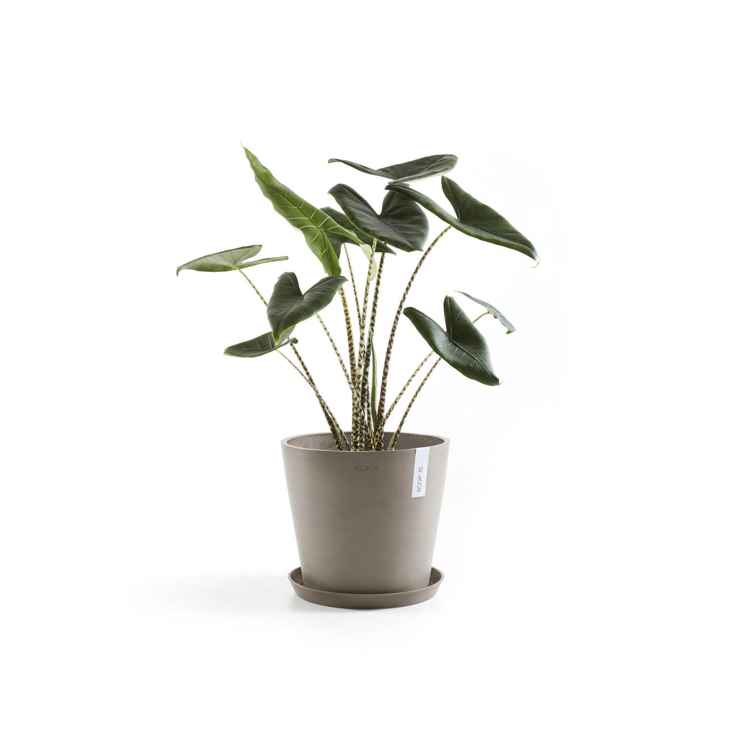 Kukkaruukku - Ecopots - Amsterdam 40cm taupe - Ecopotskauppa - Uuden aikakauden kukkaruukku