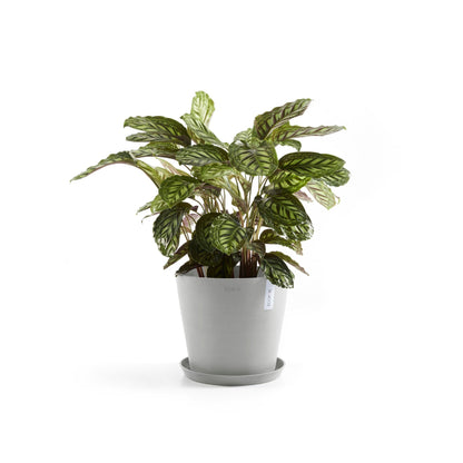 Kukkaruukku - Ecopots - Amsterdam 40cm valkoharmaa - Ecopotskauppa - Uuden aikakauden kukkaruukku