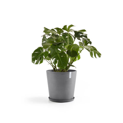 Kukkaruukku - Ecopots - Amsterdam 50cm harmaa - Ecopotskauppa - Uuden aikakauden kukkaruukku