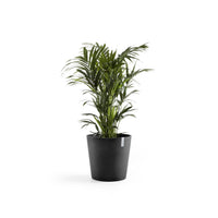 Kukkaruukku Amsterdam 50cm tummanharmaa