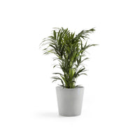 Lillepott Amsterdam 50cm valgehall