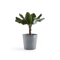 Lillepott Amsterdam 60cm sinihall