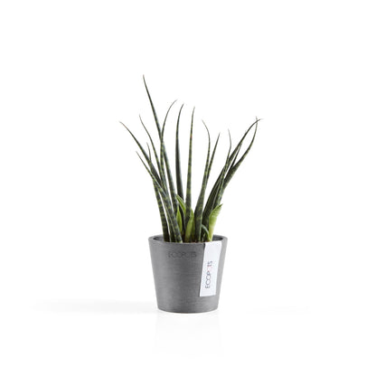 Kukkaruukku - Ecopots - Amsterdam 8cm harmaa - Ecopotskauppa - Uuden aikakauden kukkaruukku