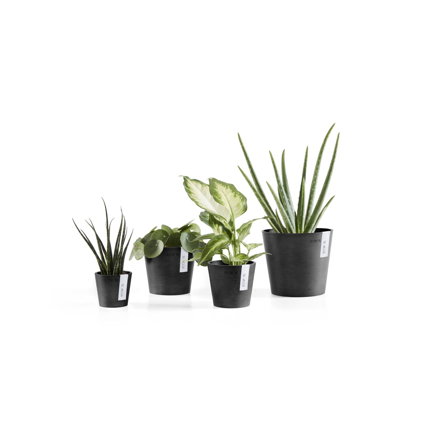 Kukkaruukku - Ecopots - Amsterdam 8cm tummanharmaa - Ecopotskauppa - Uuden aikakauden kukkaruukku