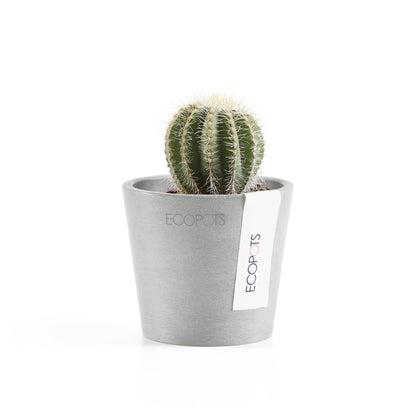 Kukkaruukku - Ecopots - Amsterdam 8cm valkoharmaa - Ecopotskauppa - Uuden aikakauden kukkaruukku