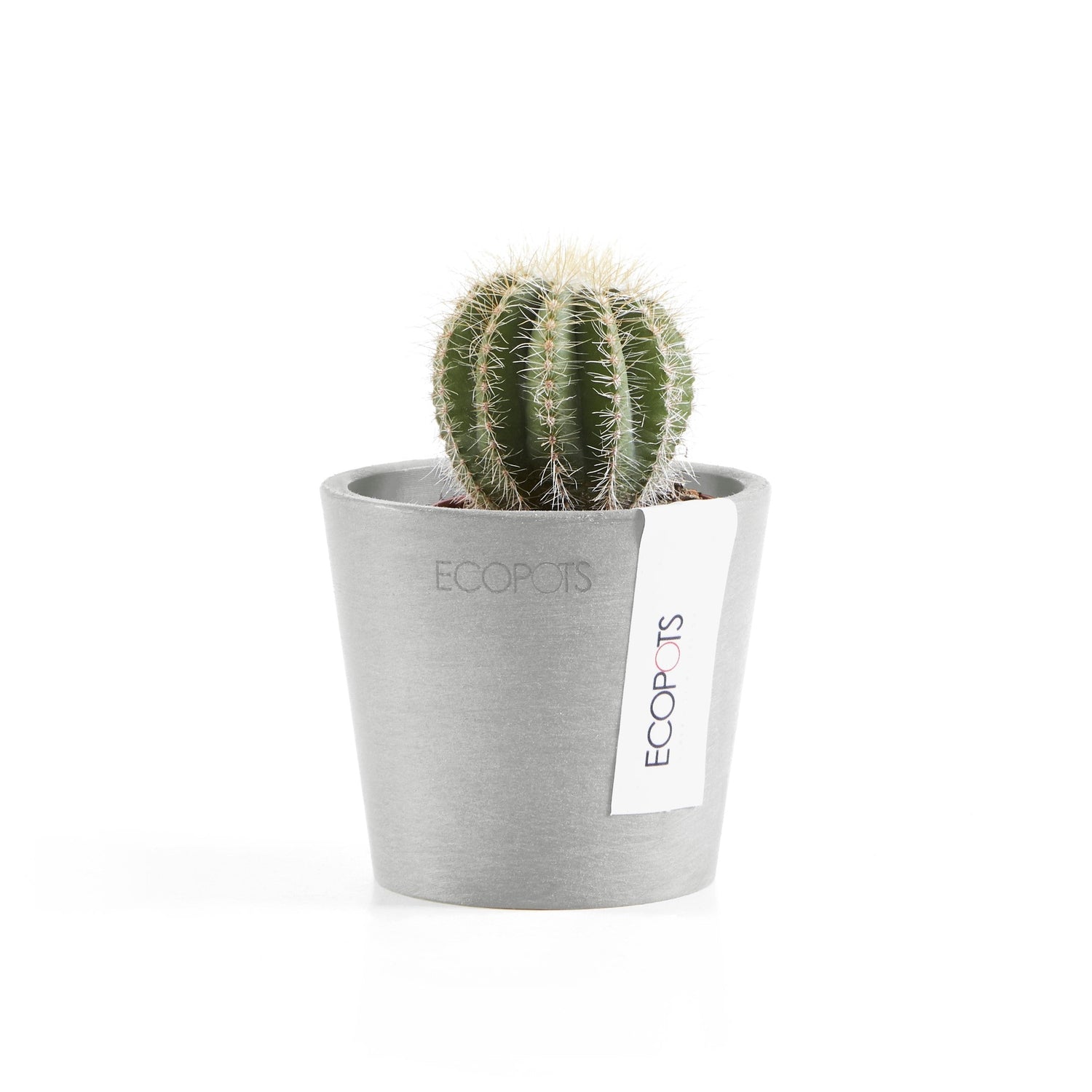 Kukkaruukku - Ecopots - Amsterdam 8cm valkoharmaa - Ecopotskauppa - Uuden aikakauden kukkaruukku