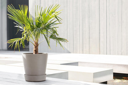 Kukkaruukku - Ecopots - Amsterdam aluslautanen pyörillä 40cm taupe - Ecopots - Uuden aikakauden kukkaruukku kierrätysmateriaalista