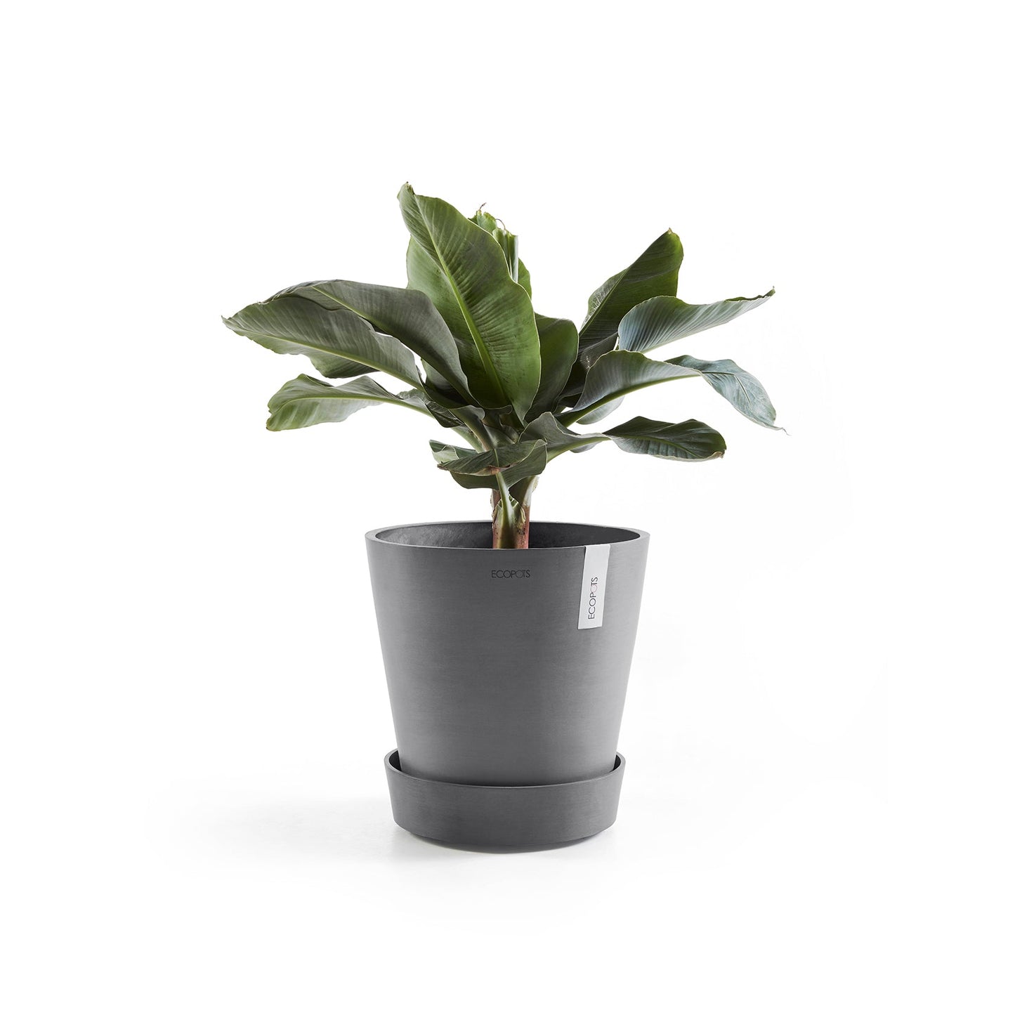 Kukkaruukku - Ecopots - Amsterdam aluslautanen pyörillä 60cm harmaa - Ecopotskauppa - Uuden aikakauden kukkaruukku