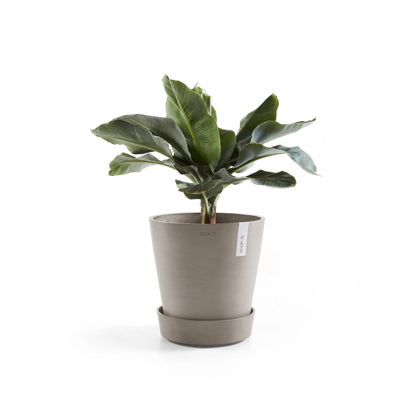 Kukkaruukku - Ecopots - Amsterdam aluslautanen pyörillä 60cm taupe - Ecopotskauppa - Uuden aikakauden kukkaruukku