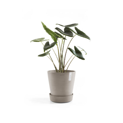 Kukkaruukku - Ecopots - Amsterdam aluslautanen pyörillä 60cm taupe - Ecopotskauppa - Uuden aikakauden kukkaruukku