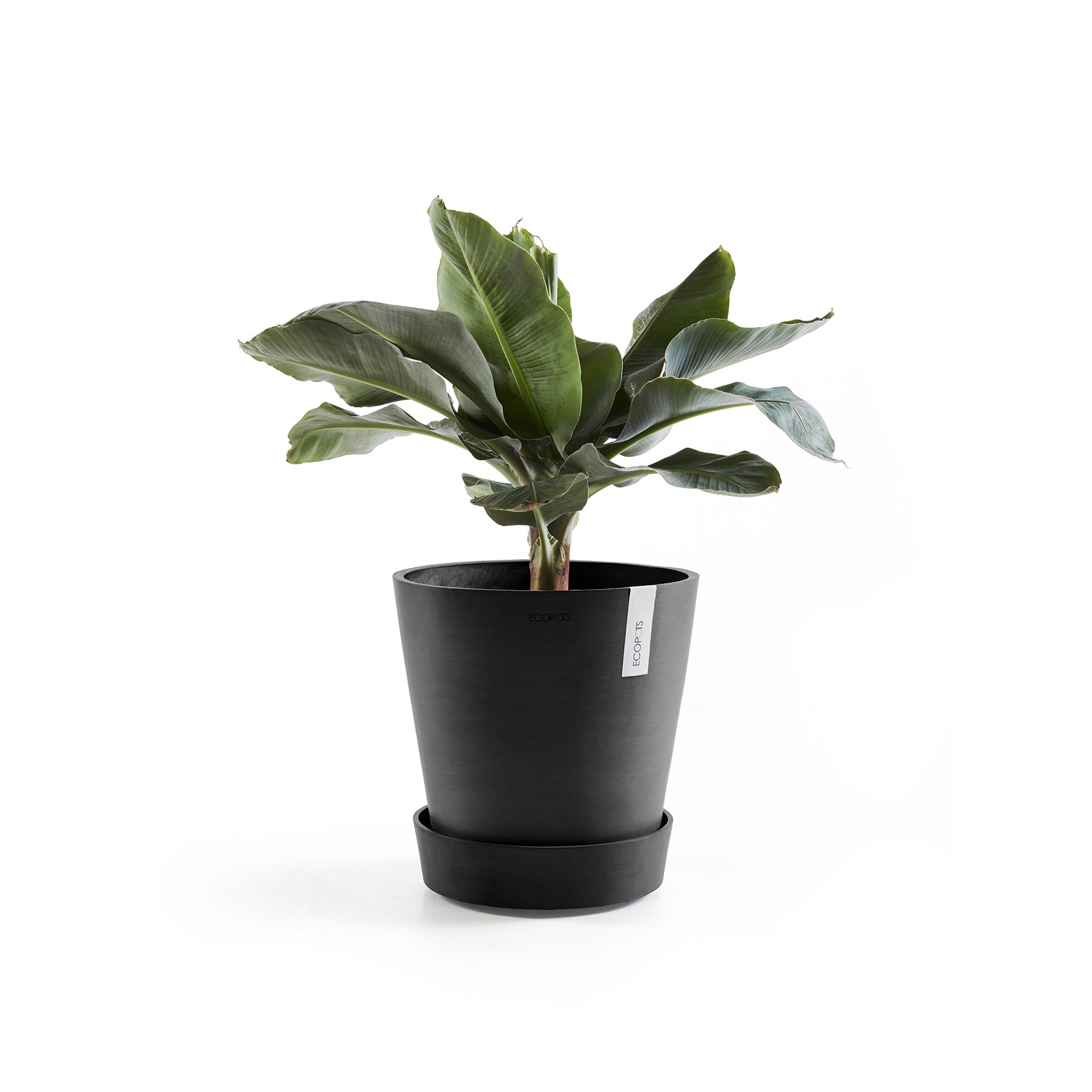 Kukkaruukku - Ecopots - Amsterdam aluslautanen pyörillä 60cm tummanharmaa - Ecopotskauppa - Uuden aikakauden kukkaruukku