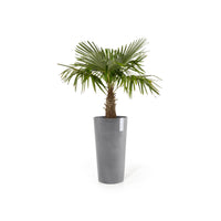 Kukkaruukku Amsterdam keskikorkea 66cm harmaa