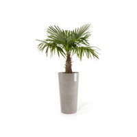 Lillepott Amsterdam keskmise kõrgusega 66cm taupe