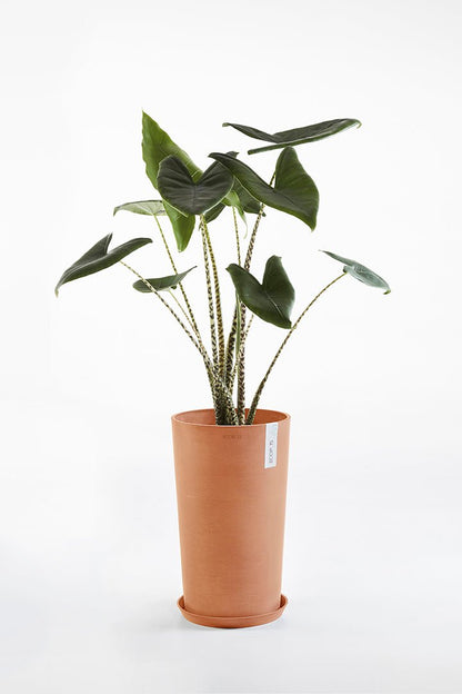 Kukkaruukku - Ecopots - Amsterdam keskikorkea 66cm terracotta - Ecopotskauppa - Uuden aikakauden kukkaruukku