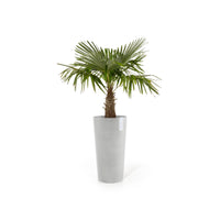 Lillepott Amsterdam keskmise kõrgusega 66cm valgehall