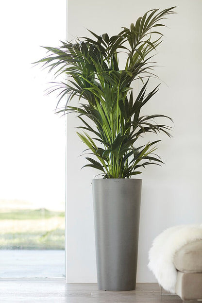 Kukkaruukku - Ecopots - Amsterdam korkea 70cm harmaa - Ecopotskauppa - Uuden aikakauden kukkaruukku