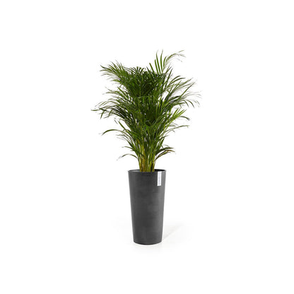 Kukkaruukku - Ecopots - Amsterdam korkea 70cm tummanharmaa - Ecopotskauppa - Uuden aikakauden kukkaruukku