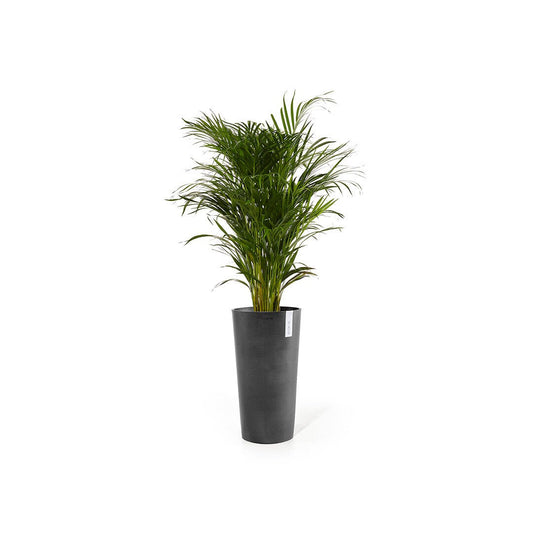 Kukkaruukku - Ecopots - Amsterdam korkea 70cm tummanharmaa - Ecopotskauppa - Uuden aikakauden kukkaruukku