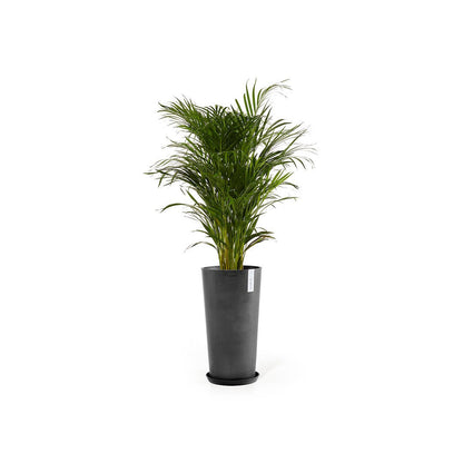 Kukkaruukku - Ecopots - Amsterdam korkea 70cm tummanharmaa - Ecopotskauppa - Uuden aikakauden kukkaruukku