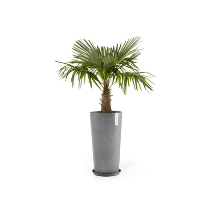Kukkaruukku - Ecopots - Amsterdam korkea 76cm harmaa - Ecopotskauppa - Uuden aikakauden kukkaruukku