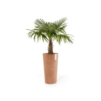 Lillepott Amsterdam kõrge 76cm terrakota