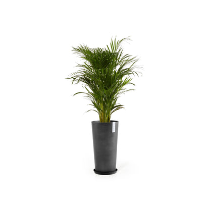 Kukkaruukku - Ecopots - Amsterdam korkea 76cm tummanharmaa - Ecopotskauppa - Uuden aikakauden kukkaruukku