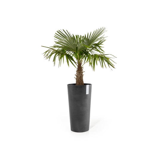 Kukkaruukku - Ecopots - Amsterdam korkea 76cm tummanharmaa - Ecopotskauppa - Uuden aikakauden kukkaruukku