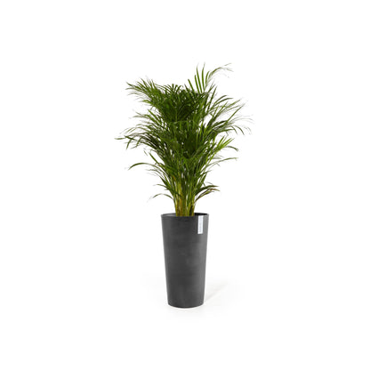 Kukkaruukku - Ecopots - Amsterdam korkea 76cm tummanharmaa - Ecopotskauppa - Uuden aikakauden kukkaruukku