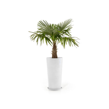 Kukkaruukku - Ecopots - Amsterdam korkea 76cm valkoinen - Ecopots - Uuden aikakauden kukkaruukku kierrätysmateriaalista