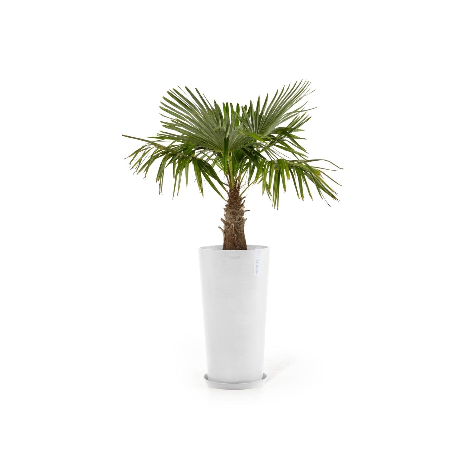 Kukkaruukku - Ecopots - Amsterdam korkea 76cm valkoinen - Ecopots - Uuden aikakauden kukkaruukku kierrätysmateriaalista