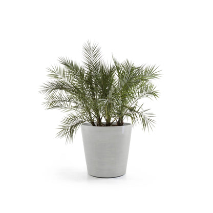 Kukkaruukku - Ecopots - Amsterdam pyörillä 80cm valkoharmaa - Ecopots - Uuden aikakauden kukkaruukku kierrätysmateriaalista