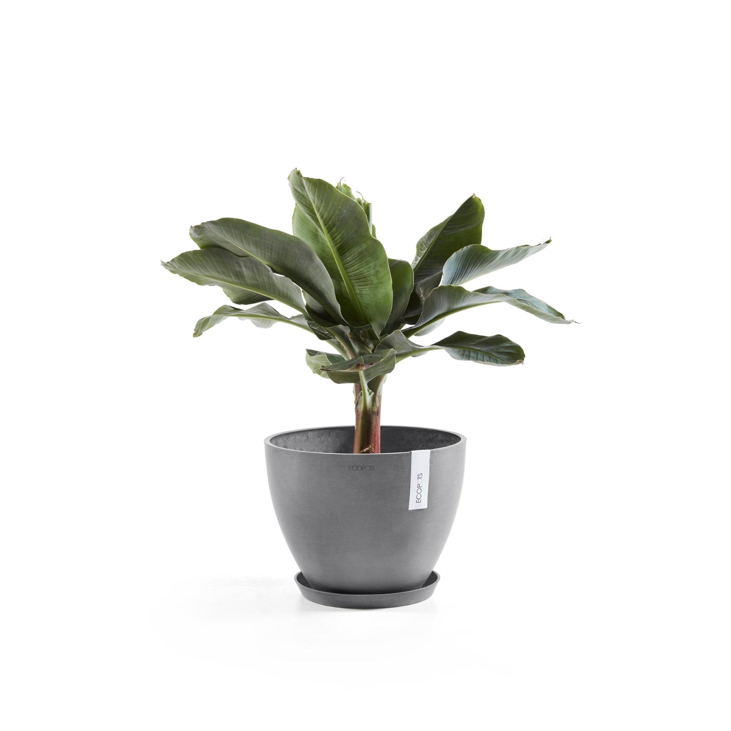 Kukkaruukku - Ecopots - Antwerpen 30cm harmaa - Ecopotskauppa - Uuden aikakauden kukkaruukku