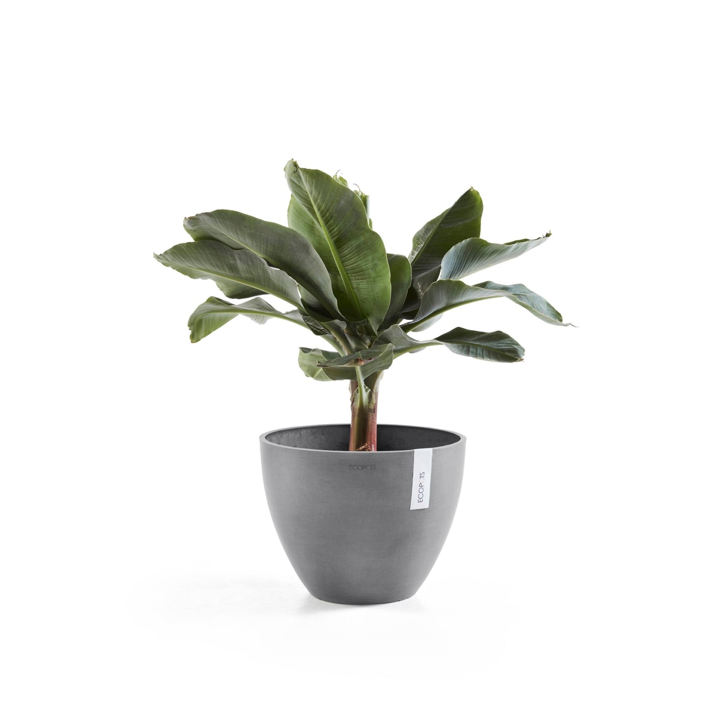 Kukkaruukku - Ecopots - Antwerpen 30cm harmaa - Ecopotskauppa - Uuden aikakauden kukkaruukku