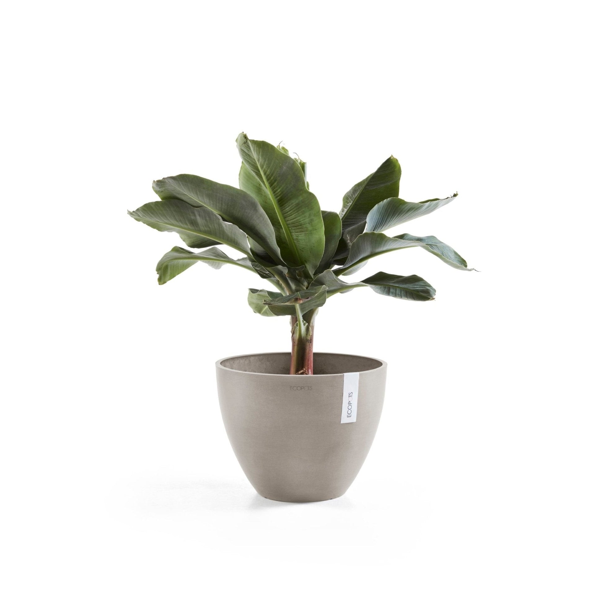 Kukkaruukku - Ecopots - Antwerpen 30cm taupe - Ecopotskauppa - Uuden aikakauden kukkaruukku