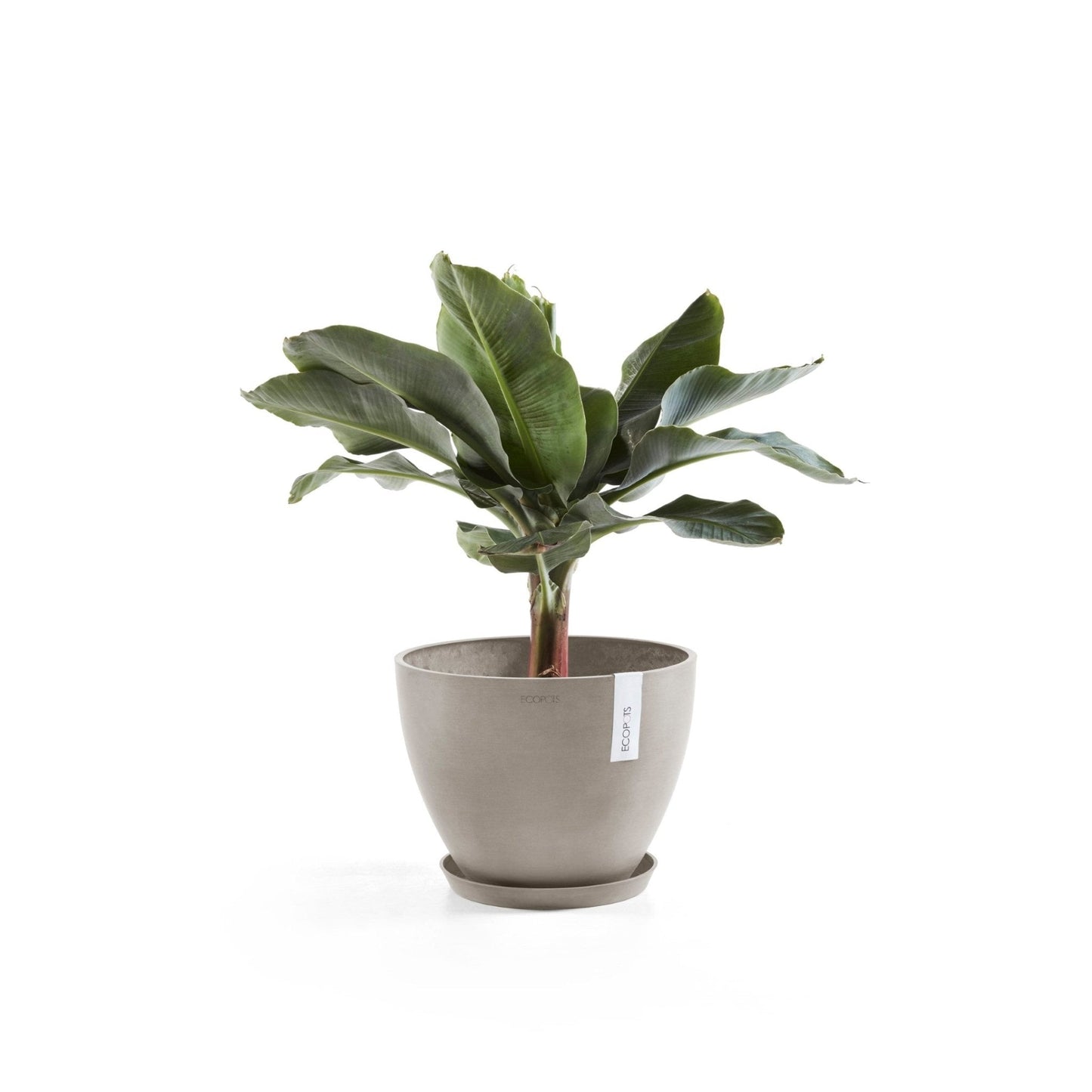 Kukkaruukku - Ecopots - Antwerpen 30cm taupe - Ecopotskauppa - Uuden aikakauden kukkaruukku