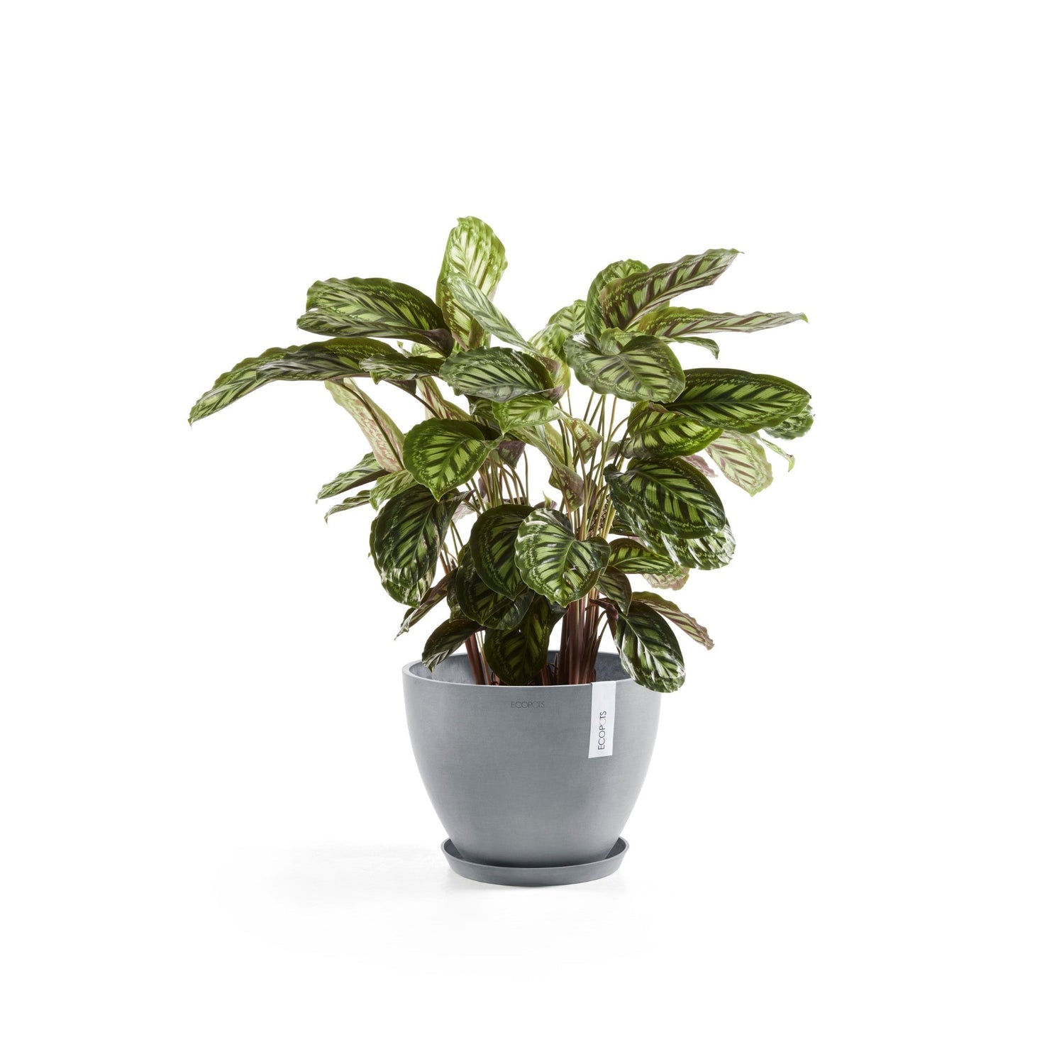 Kukkaruukku - Ecopots - Antwerpen 30cm valkoharmaa - Ecopotskauppa - Uuden aikakauden kukkaruukku