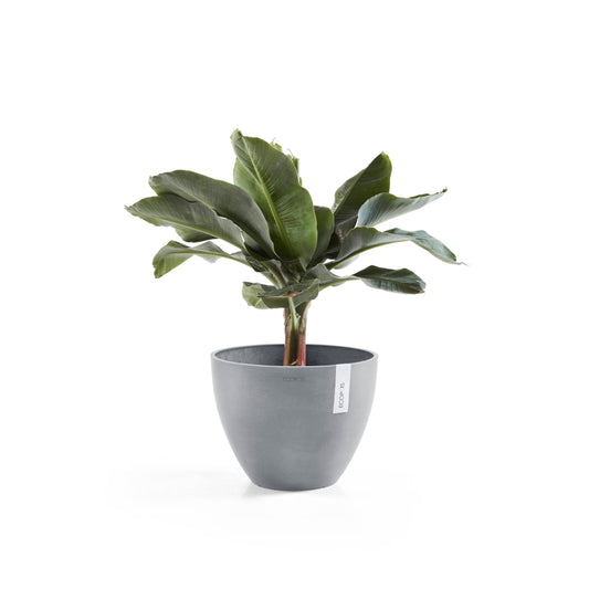 Kukkaruukku - Ecopots - Antwerpen 40cm siniharmaa - Ecopotskauppa - Uuden aikakauden kukkaruukku