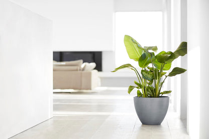 Kukkaruukku - Ecopots - Antwerpen 40cm siniharmaa - Ecopots - Uuden aikakauden kukkaruukku kierrätysmateriaalista