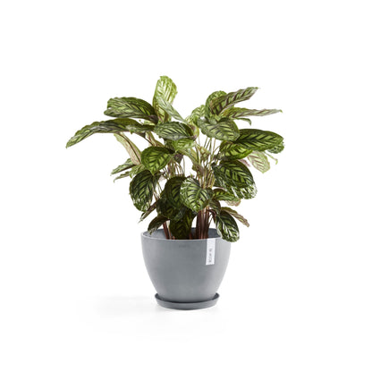 Kukkaruukku - Ecopots - Antwerpen 40cm siniharmaa - Ecopotskauppa - Uuden aikakauden kukkaruukku
