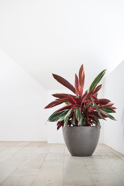 Kukkaruukku - Ecopots - Antwerpen 40cm taupe - Ecopotskauppa - Uuden aikakauden kukkaruukku