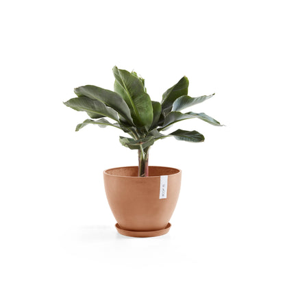 Kukkaruukku - Ecopots - Antwerpen 40cm terracotta - Ecopotskauppa - Uuden aikakauden kukkaruukku